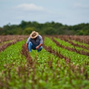 Um pouco sobre como vive o Brasil rural