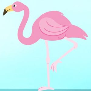 Fantasia de flamingo para o Carnaval