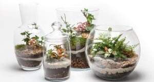 Natureza ativa é vida que segue – Trabalho interdisciplinar
