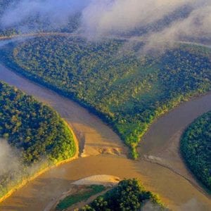 A poética da natureza (Meio Ambiente)