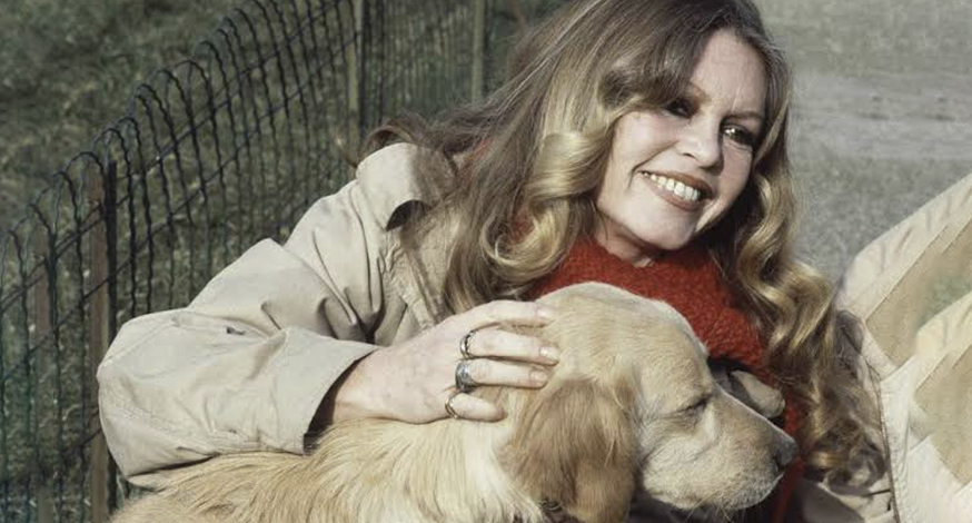 mulher acariciando cachorro
