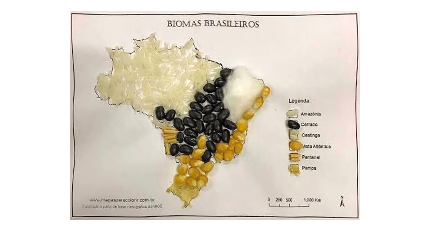 Mapa feito pela professora com grãos para o aluno reconhecer as regiões do Brasil.