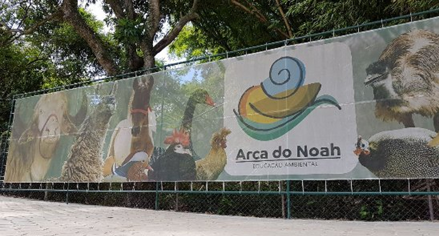 espaço arca de noah