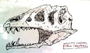 Biologia desenhada