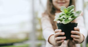 Selo Leed School para a primeira escola sustentável da América Latina