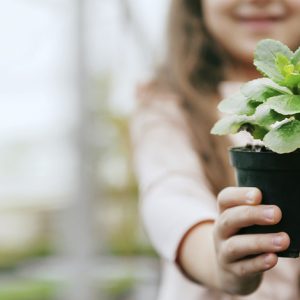 Selo Leed School para a primeira escola sustentável da América Latina