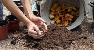 Compostagem: uma ação sustentável que começa em casa