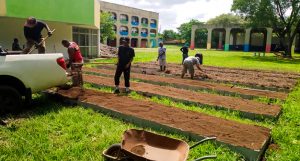 Projeto ECO: um novo cultivo no Ciep 498