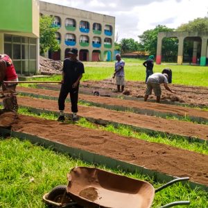 Projeto ECO: um novo cultivo no Ciep 498