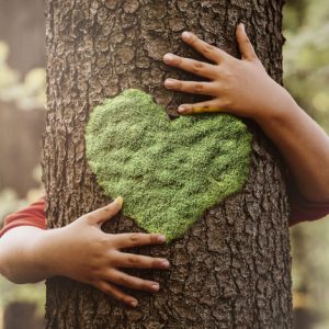 Dia Nacional da Educação Ambiental