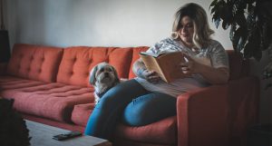 Semana literária: uma viagem ao mundo das narrativas