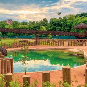 BioParque do Rio: um incrível passeio para toda a família