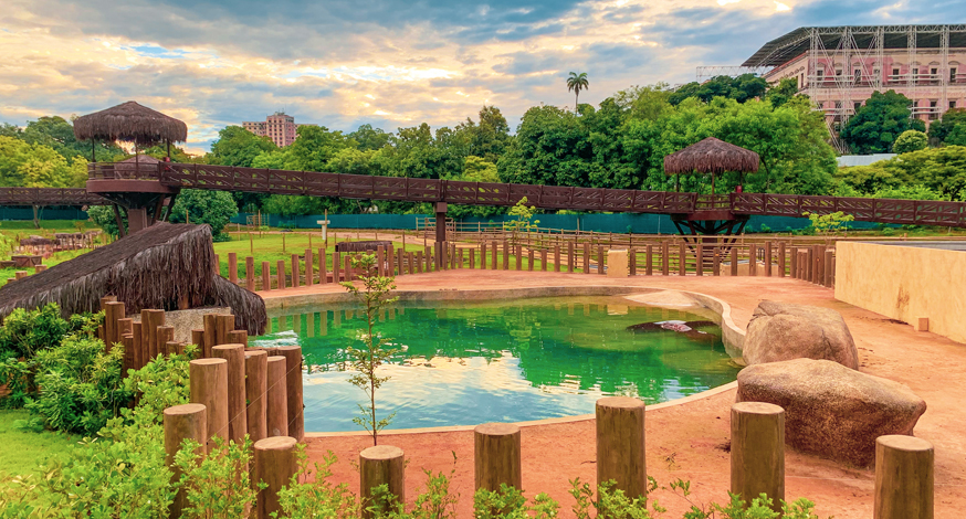 BioParque do Rio: um incrível passeio para toda a família