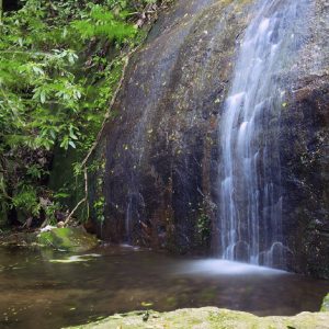 Cachoeira dos Primatas