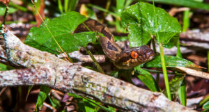 Atividade humana e a natureza