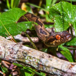 Atividade humana e a natureza