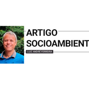 Descoberta de perereca única no Serrado
